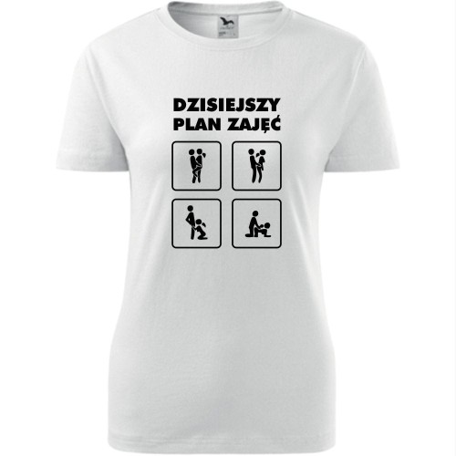 damska koszulka taliowana - dzisiejszy plan zajęć