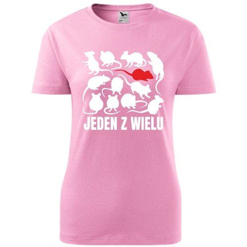 damska koszulka taliowana - jeden z wielu