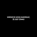 WRESZCZE MOGĘ NARZEKAĆ, ŻE JEST ZIMNO.png